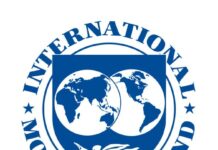FMI: y cuando despertó, el neoliberalismo seguía ahí