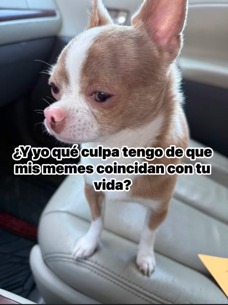 El Meme
