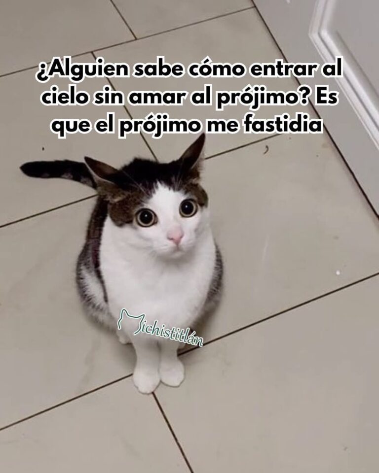 El Meme
