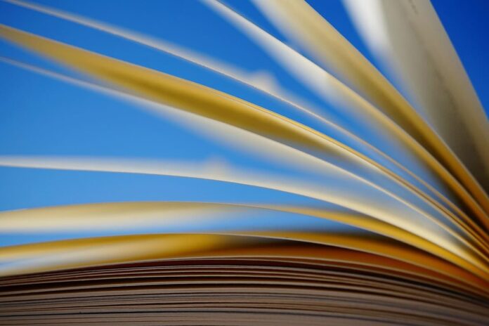 kranich17-a-book-6213537_1280 (1)